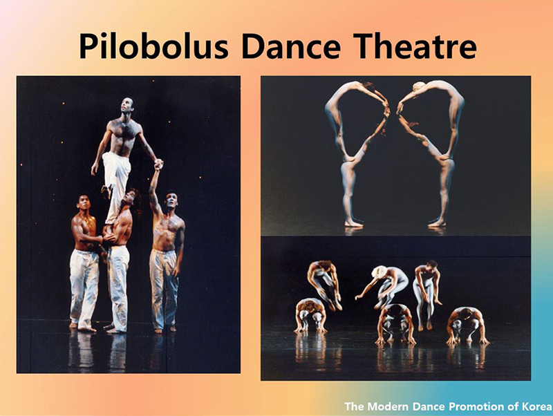 Pilobolus Dance Theatre